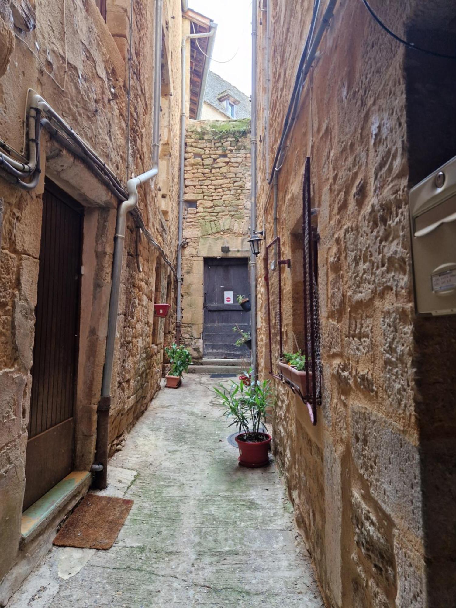 Les Flamboyants Lejlighed Sarlat-la-Canéda Eksteriør billede